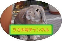 あ1.jpg