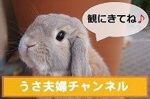 あ1.jpg
